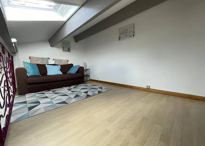 Willa Charmante T3 Climatisee Avec Veranda, Terrasse Et Jardinet - Proche Et Commerces - Fr-1-106-54